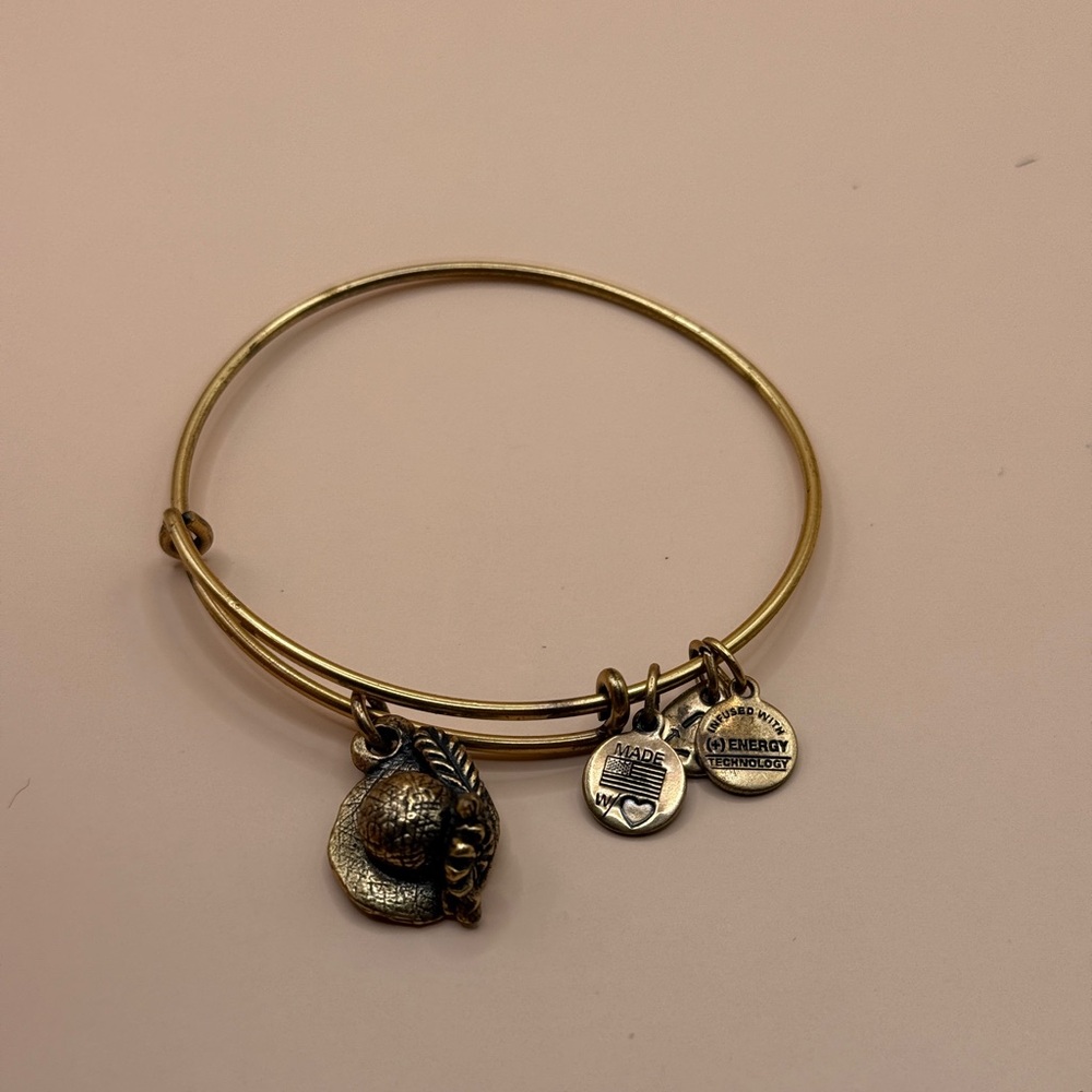 Alex and Ani Rafaelian Gold Harvest Hat Charm Bangle bracelet